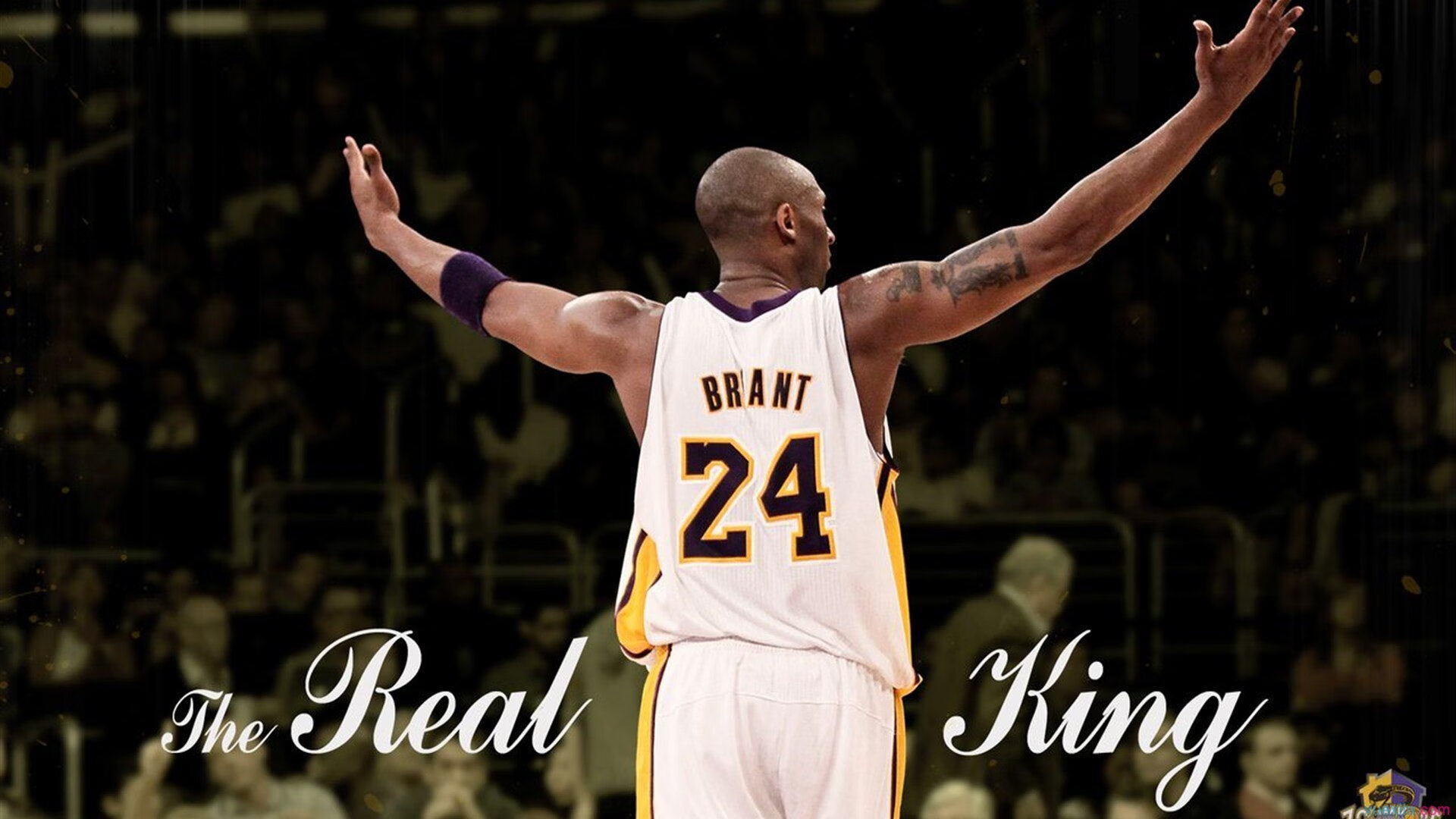 光影跑步节：用光色点亮运动激情